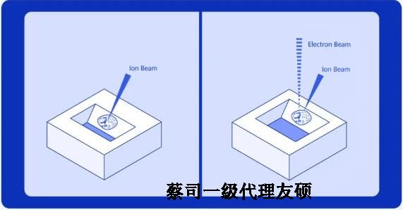 惠州扫描电子显微镜